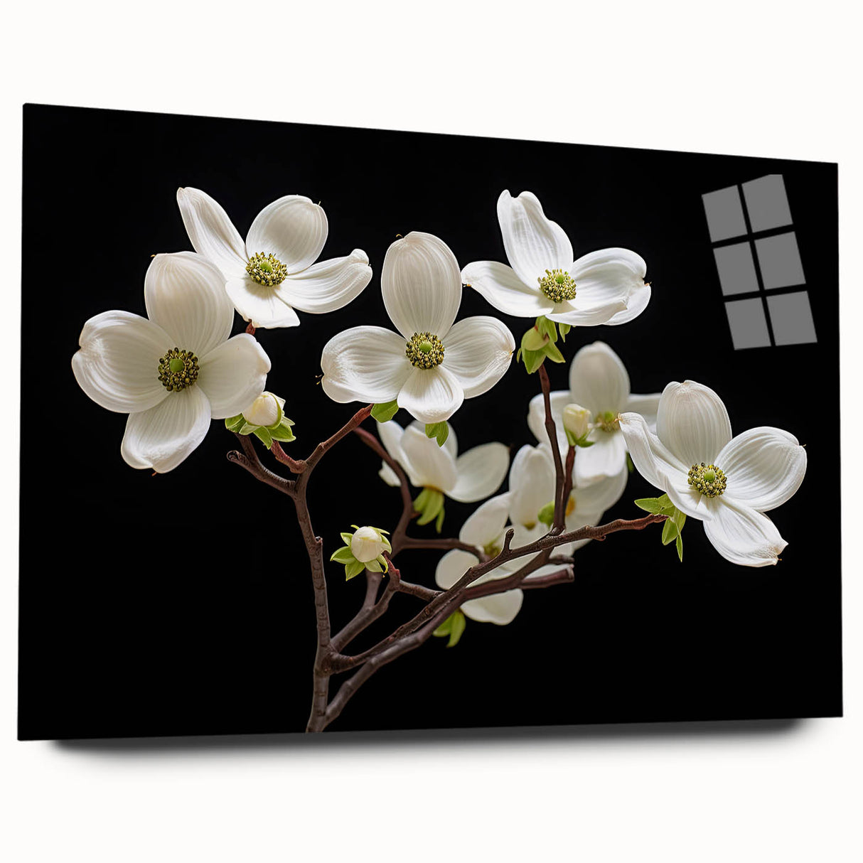 Acrylic glass wall art showcasing a botanical dogwood design, elegantly displayed from a side view, highlighting its vibrant colors and intricate details. Perfect for enhancing home decor with a natural aesthetic.