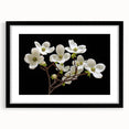 Botanical wall art featuring a black-framed dogwood design, showcasing delicate flowers with soft colors, perfect for adding elegance to any room decor.