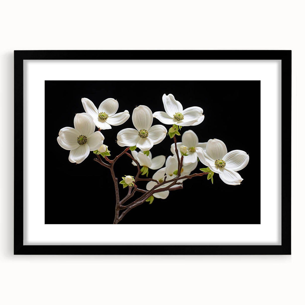 Botanical wall art featuring a black-framed dogwood design, showcasing delicate flowers with soft colors, perfect for adding elegance to any room decor.