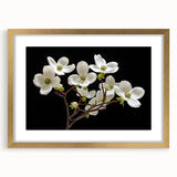 Framed botanical wall art featuring a delicate dogwood flower design in soft pastel colors, elegantly matted and set in a gold frame, ideal for home decor.