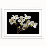Botanical dogwood design wall art collection featuring elegant floral patterns, framed with a white mat for a modern touch, perfect for home decor.