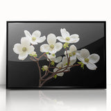 Framed botanical wall art featuring a dogwood design in vibrant colors, set against a sleek black frame, ideal for enhancing home decor and nature-themed interiors.