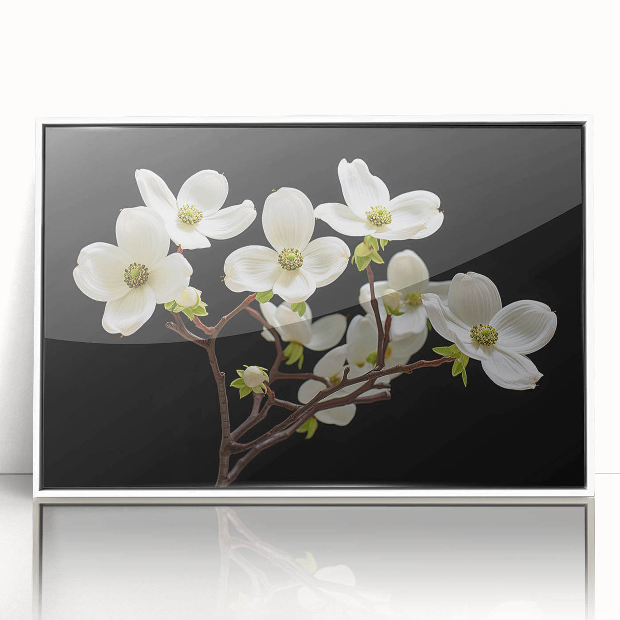 Framed acrylic wall art featuring a botanical dogwood design, showcasing vibrant flowers in a white frame, ideal for home decor and nature lovers.