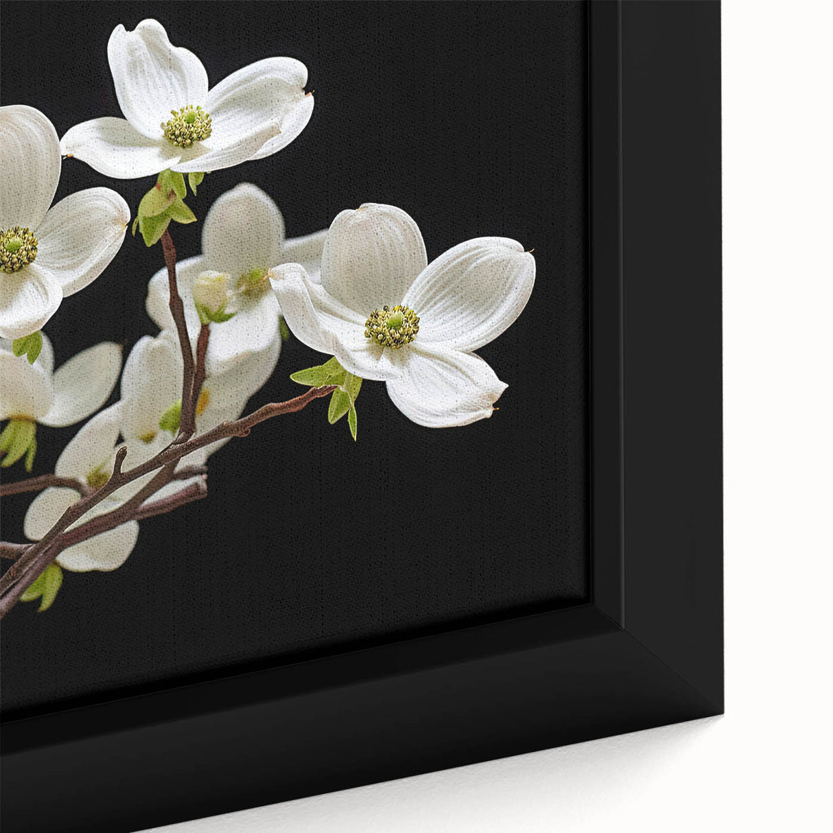 Close-up of a framed botanical art piece featuring vibrant dogwood flowers on a textured canvas, ideal for home decor enthusiasts seeking nature-inspired wall art.