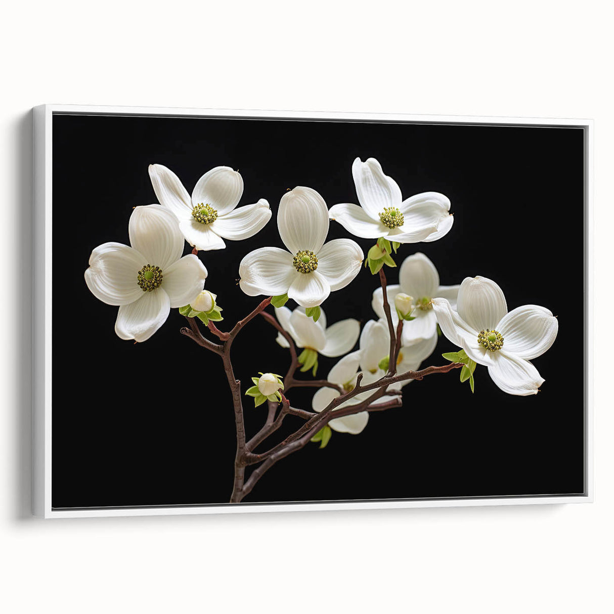 Framed canvas wall art showcasing a botanical dogwood design, featuring vibrant colors and intricate floral details, displayed from a white side view. Perfect for adding a touch of nature-inspired elegance to home decor.