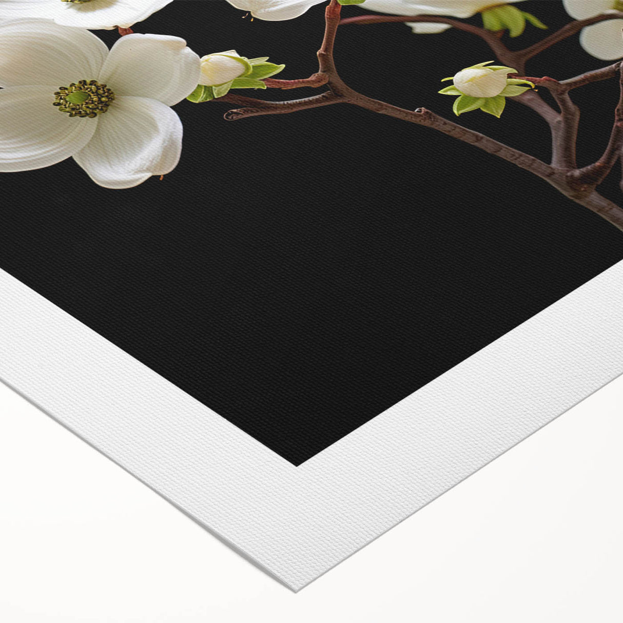 Botanical wall art featuring a vibrant dogwood flower design on rolled canvas, showcasing delicate pink and white blooms against a soft green background, perfect for home decor.