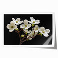 Botanical wall art print showcasing a vibrant dogwood flower design, featuring soft pastel colors on a textured background, perfect for home decor.