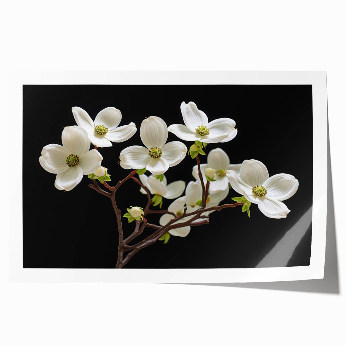 Botanical wall art print showcasing a vibrant dogwood flower design, featuring soft pastel colors on a textured background, perfect for home decor.