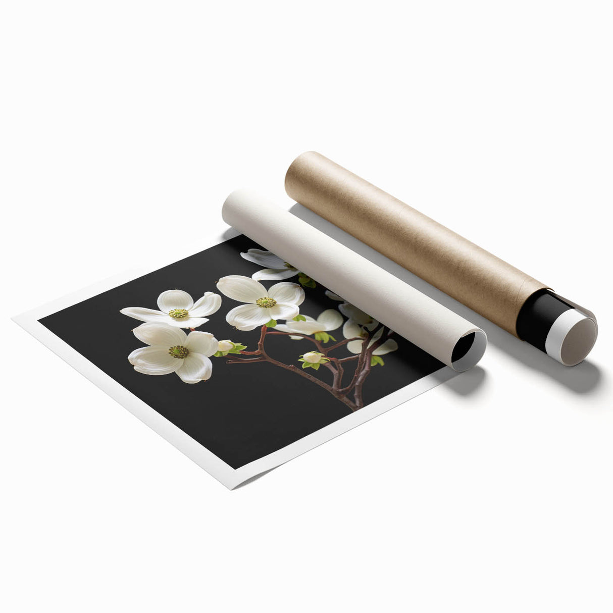 Botanical dogwood wall art print showcasing delicate pink and white flowers against a soft pastel background, rolled for easy framing and display.