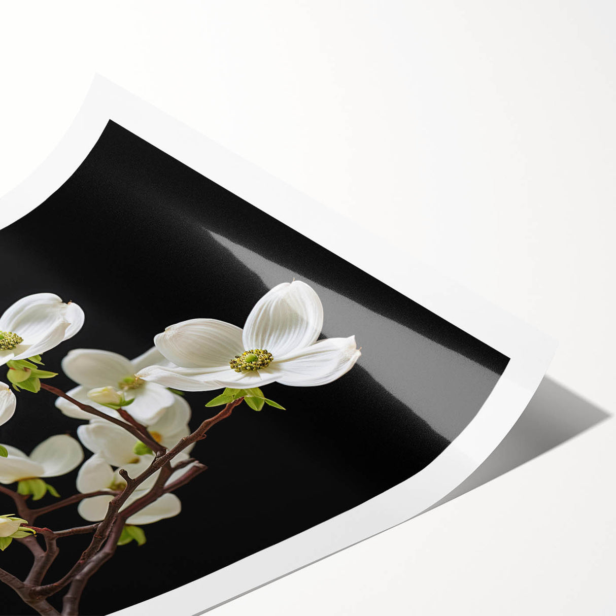 Botanical wall art print featuring delicate pink dogwood flowers against a soft cream background, rolled and ready for framing, ideal for home decor.