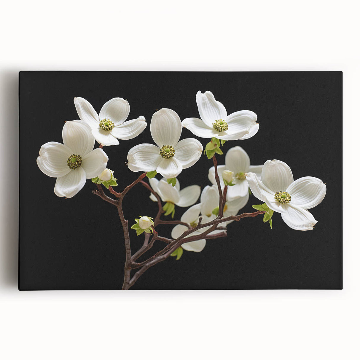Stretched canvas wall art featuring a botanical design of vibrant dogwood flowers, showcasing intricate details and soft pastel colors, perfect for enhancing home decor.