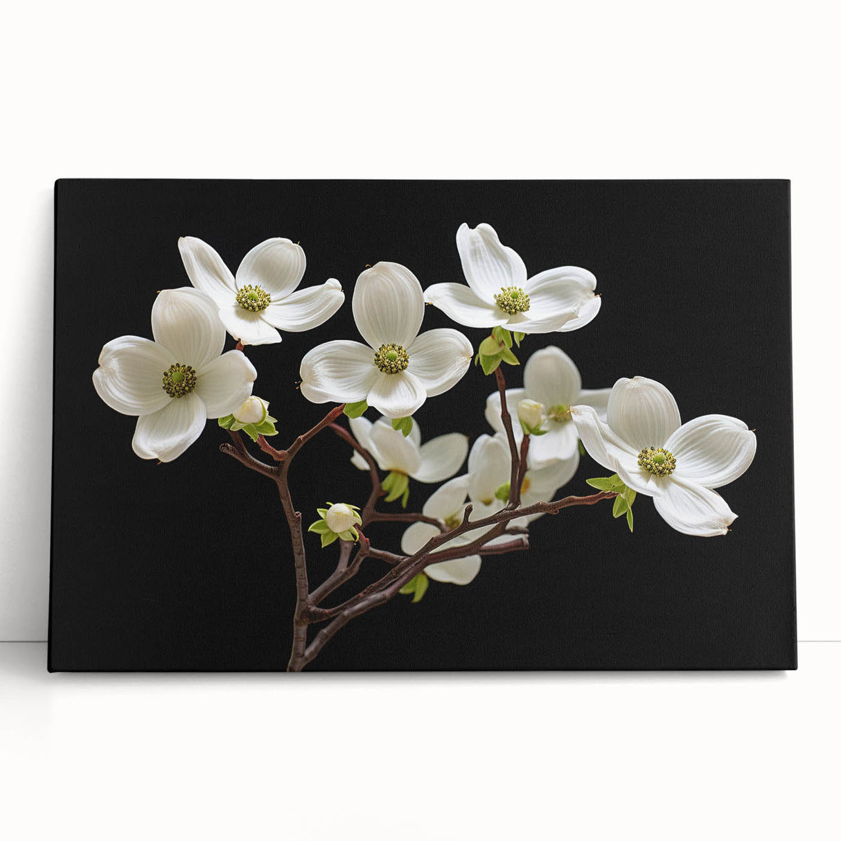 Stretched canvas wall art featuring a vibrant dogwood flower design, showcasing intricate details and soft pastel colors, perfect for home decor.