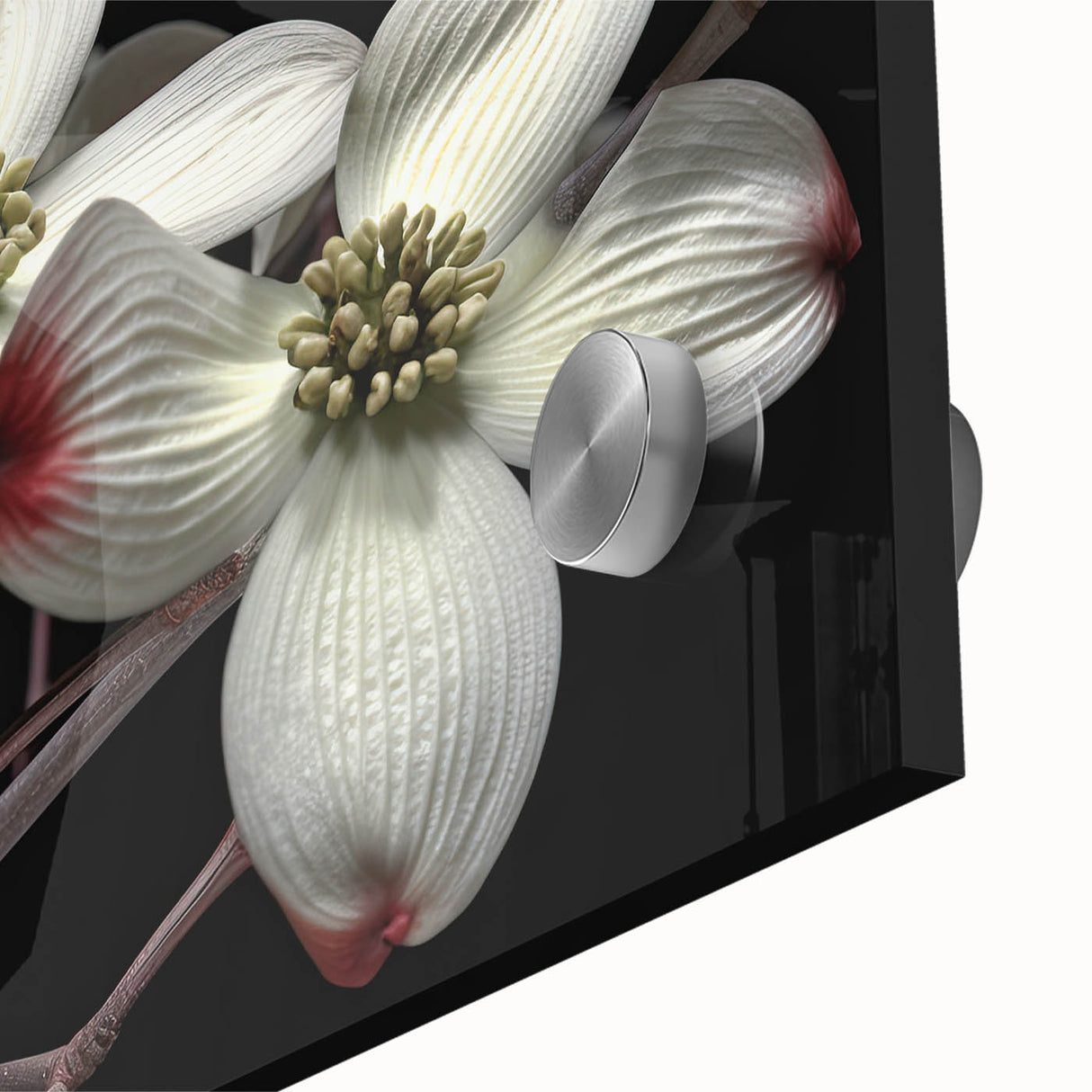 Close-up of a vibrant botanical wall art design featuring delicate dogwood flowers on acrylic glass. Ideal for home decor, it adds a touch of nature and elegance to any space.