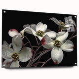 Close-up of a botanical dogwood wall art collection displayed in acrylic glass, highlighting delicate flower details and vibrant colors, ideal for home decor.