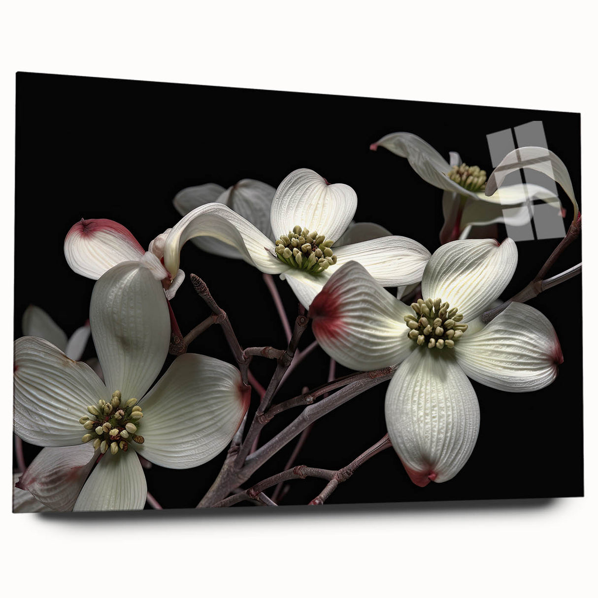 Acrylic glass wall art showcasing a delicate dogwood flower design, presented in a side view without pins, perfect for botanical-themed decor. Ideal for enhancing interior spaces with a touch of nature and elegance.