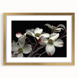 Botanical wall art collection featuring a framed dogwood design in a gold frame with a mat, showcasing soft floral elements and elegant details, ideal for home decor.