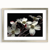 Botanical dogwood wall art collection featuring a silver-framed design with a mat, showcasing delicate floral patterns and sophisticated elegance, perfect for home decor.