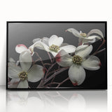 Framed wall art featuring a botanical dogwood design on acrylic, showcasing delicate white flowers against a sleek black background, perfect for home decor.