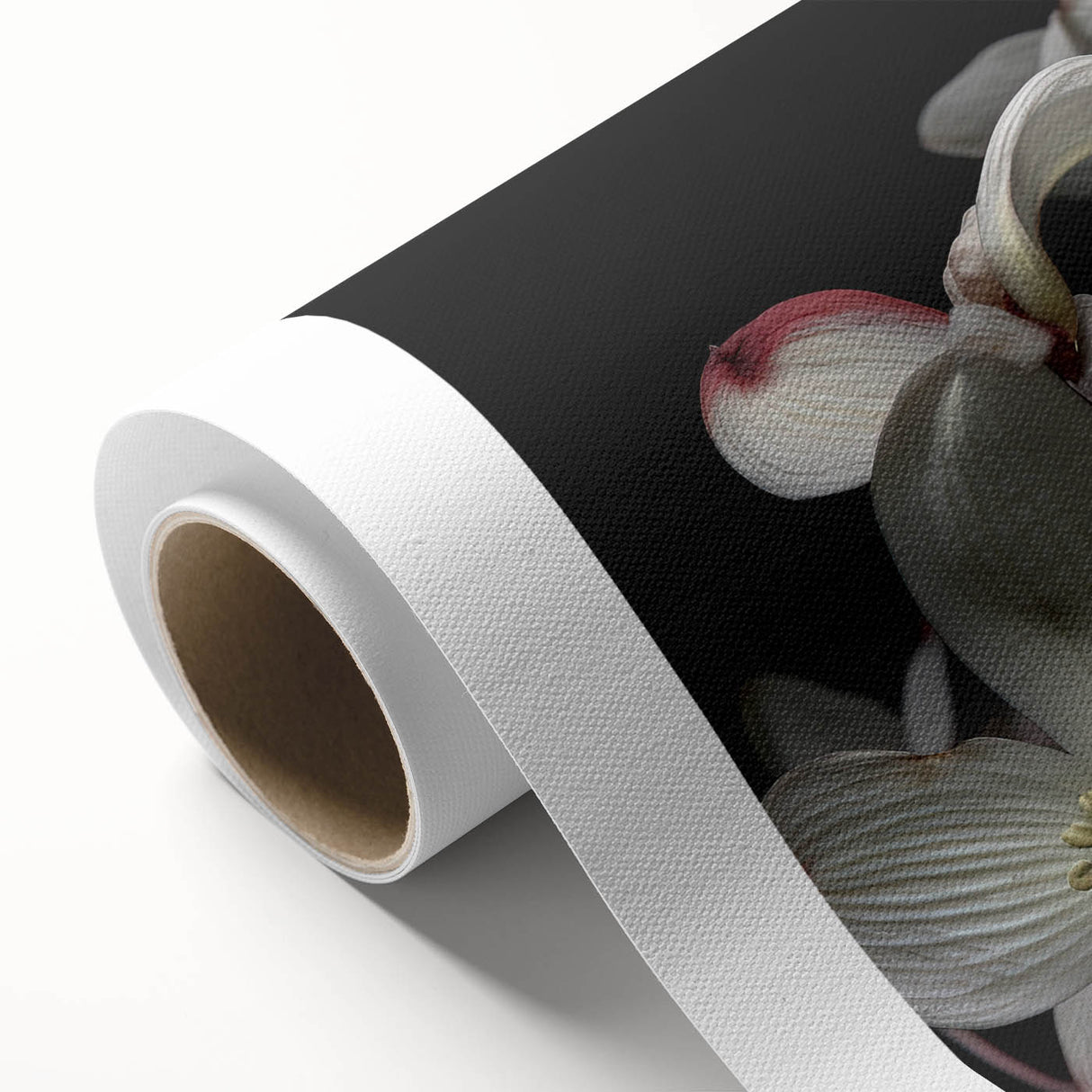 Botanical wall art featuring a vibrant dogwood flower design on rolled canvas, showcasing intricate details and rich colors, perfect for home decor.
