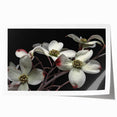 Botanical wall art print showcasing a delicate dogwood flower design in soft pastel colors, perfect for home decor, presented in a rolled format for easy framing.