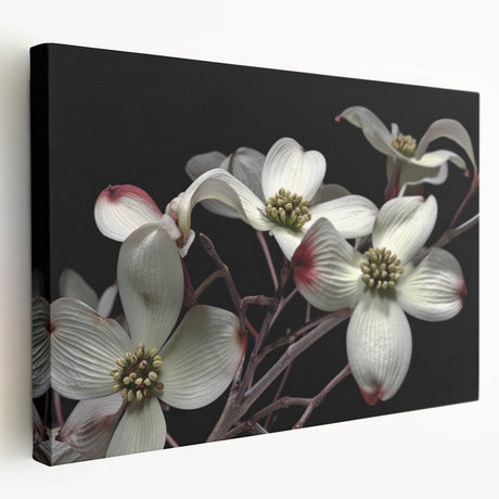 Stretched canvas wall art showcasing a botanical dogwood design with vibrant flowers, presented in a side view to highlight its texture and colors. Ideal for home decor enthusiasts.
