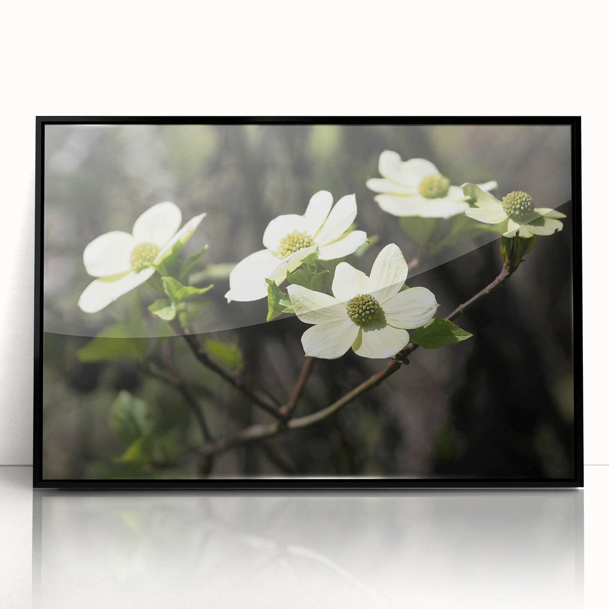 Framed wall art showcasing a botanical dogwood design with vibrant flowers, set in a sleek black frame, ideal for enhancing home decor.