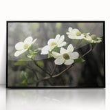Framed wall art showcasing a botanical dogwood design with vibrant flowers, set in a sleek black frame, ideal for enhancing home decor.