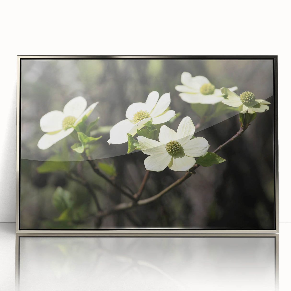 Framed wall art featuring a delicate botanical design of white dogwood flowers against a soft silver background, enhancing modern home decor with elegance.