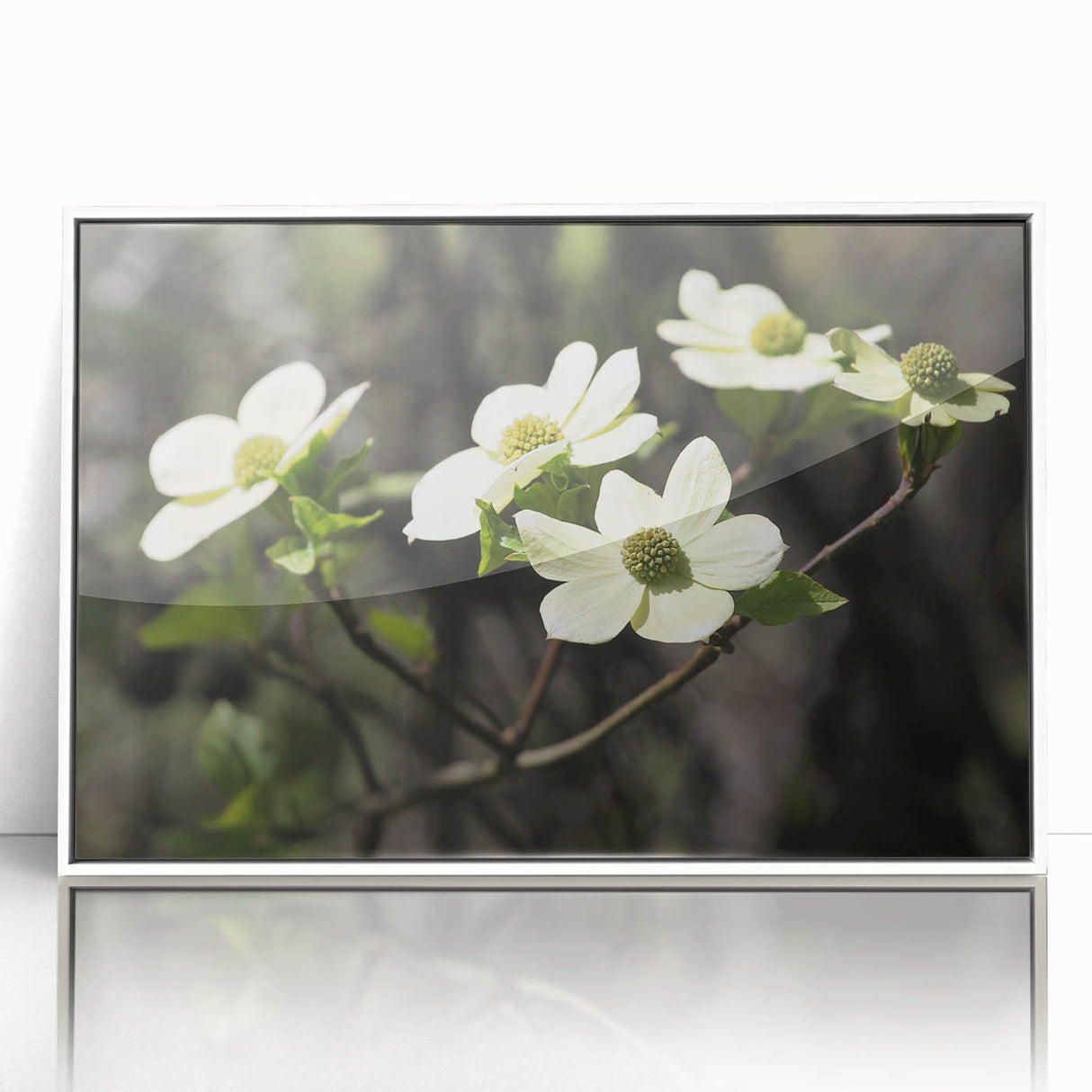 Framed wall art collection showcasing a botanical dogwood design with vibrant flowers, set against a white background, perfect for home decor enhancement.