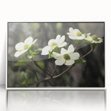 Framed wall art collection showcasing a botanical dogwood design with vibrant flowers, set against a white background, perfect for home decor enhancement.