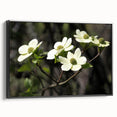 Framed canvas wall art showcasing a botanical dogwood design in vibrant colors, set against a sleek black frame, ideal for modern home decor.