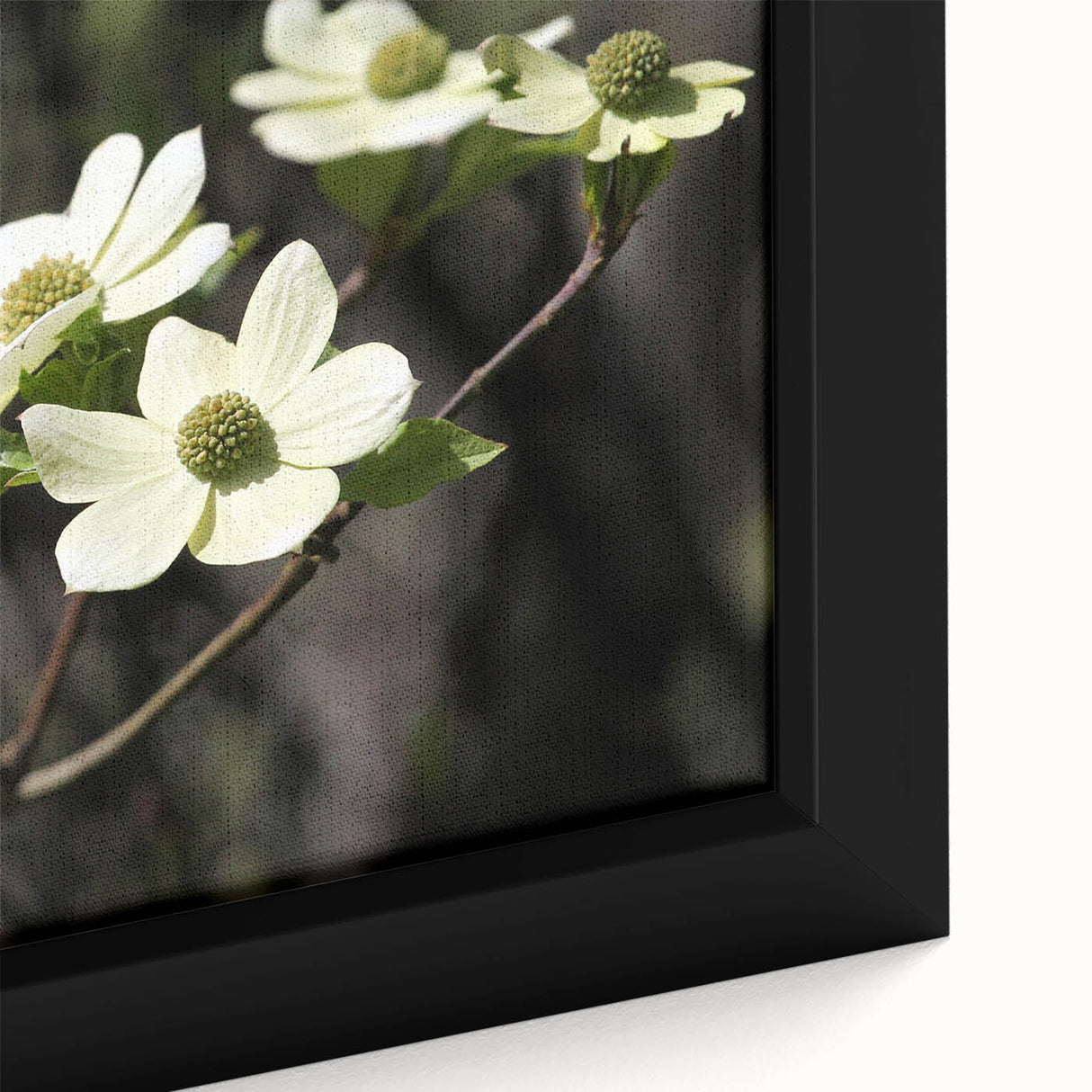 Close-up of a framed canvas wall art featuring an intricate botanical dogwood design, showcasing vibrant colors and detailed floral elements, perfect for home decor.