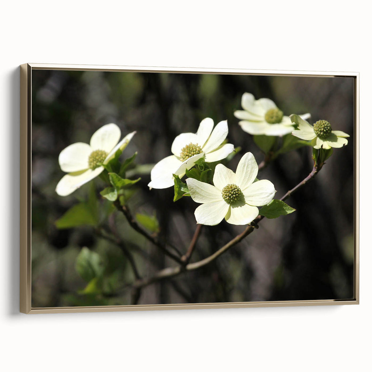 Framed wall art showcasing a botanical dogwood design with vibrant flowers and gold accents, perfect for adding elegance to home decor.