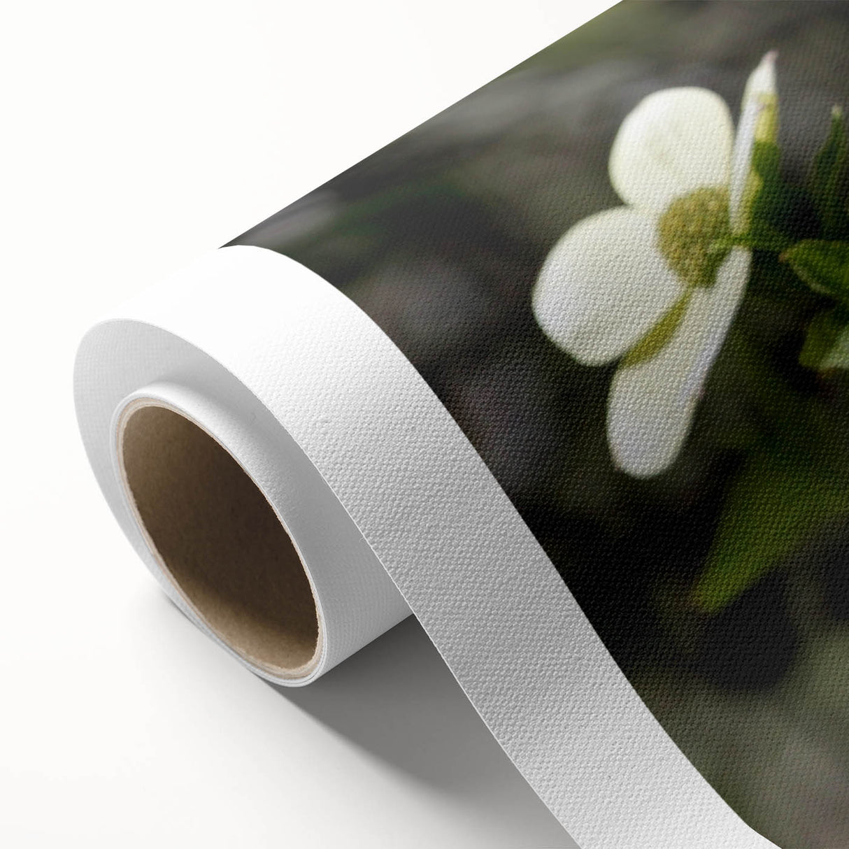 Botanical wall art featuring a vibrant dogwood flower design in soft pinks and greens, printed on rolled canvas, ideal for home decor and nature enthusiasts.