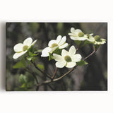 Stretched canvas wall art showcasing a vibrant dogwood flower design in soft pink and white hues, perfect for home decor or nature-themed interiors.
