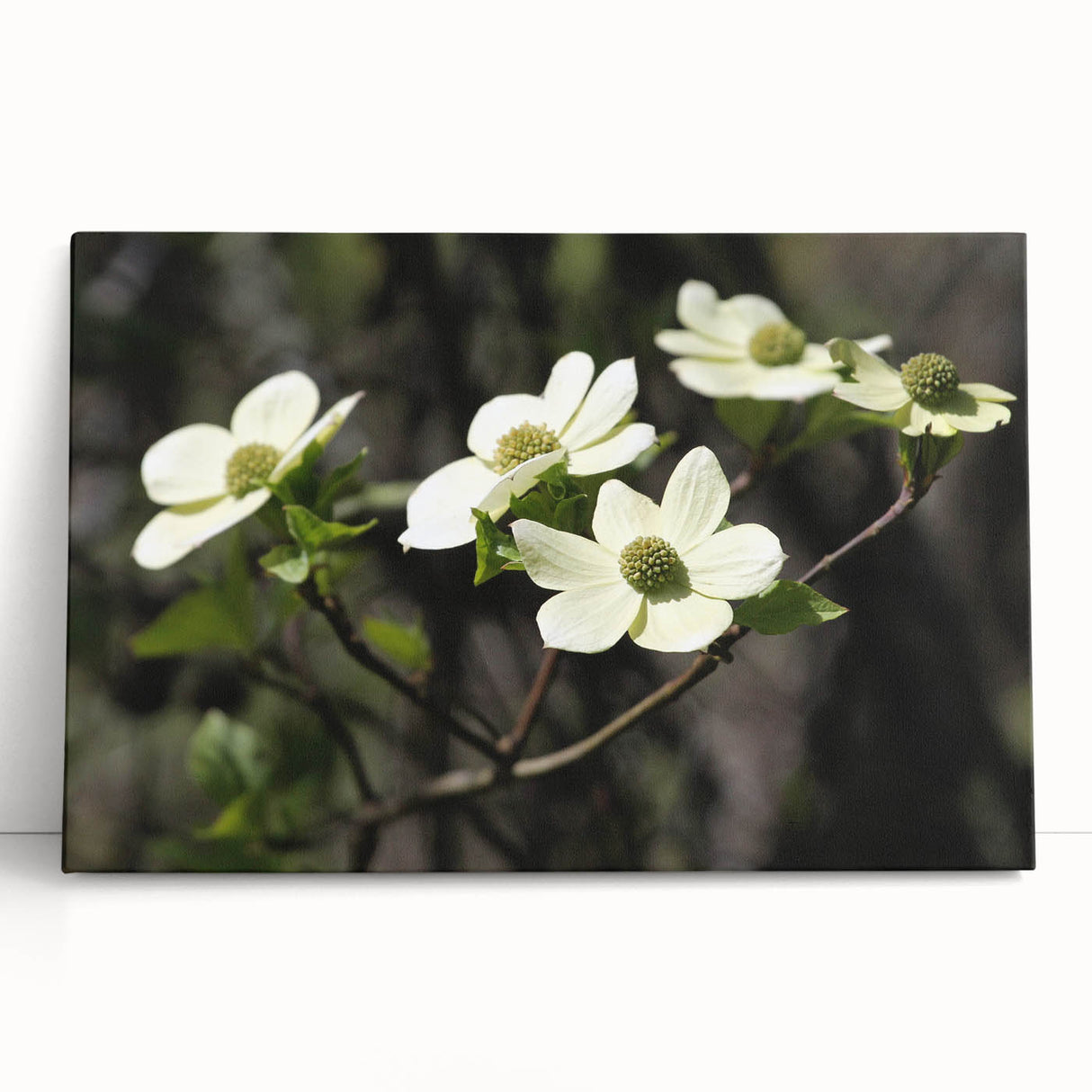 Botanical wall art featuring a vibrant dogwood flower design on stretched canvas, showcasing rich colors and intricate details, perfect for home decor.