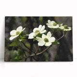 Botanical wall art featuring a vibrant dogwood flower design on stretched canvas, showcasing rich colors and intricate details, perfect for home decor.