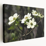 Stretched canvas wall art showcasing a vibrant botanical dogwood design with intricate floral details, presented in a side view to highlight its texture and depth.