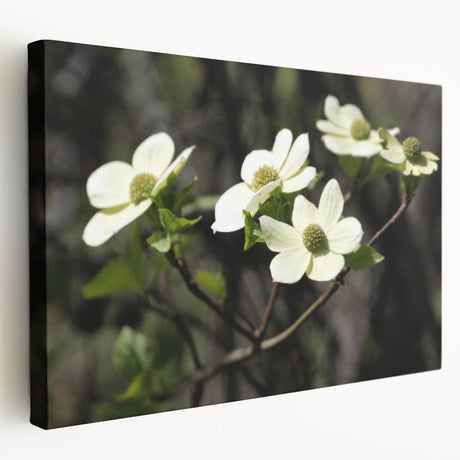 Stretched canvas wall art showcasing a vibrant botanical dogwood design with intricate floral details, presented in a side view to highlight its texture and depth.