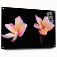 Acrylic glass artwork showcasing a vibrant botanical dogwood design, elegantly displayed with pins on a wall, featuring delicate floral details and a modern aesthetic.