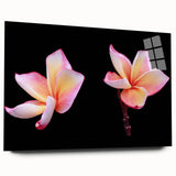 Side view of a botanical dogwood wall art collection featuring vibrant floral designs printed on acrylic glass, showcasing intricate details and colors suitable for home decor.