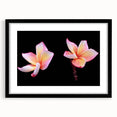 Botanical dogwood wall art collection in a black frame, showcasing intricate floral designs with a white mat, perfect for home decor. Ideal for nature enthusiasts.
