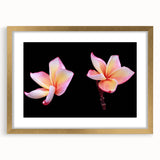 Elegant gold-framed botanical wall art featuring a vibrant dogwood flower design, showcasing intricate details and a stylish mat, perfect for home decor.