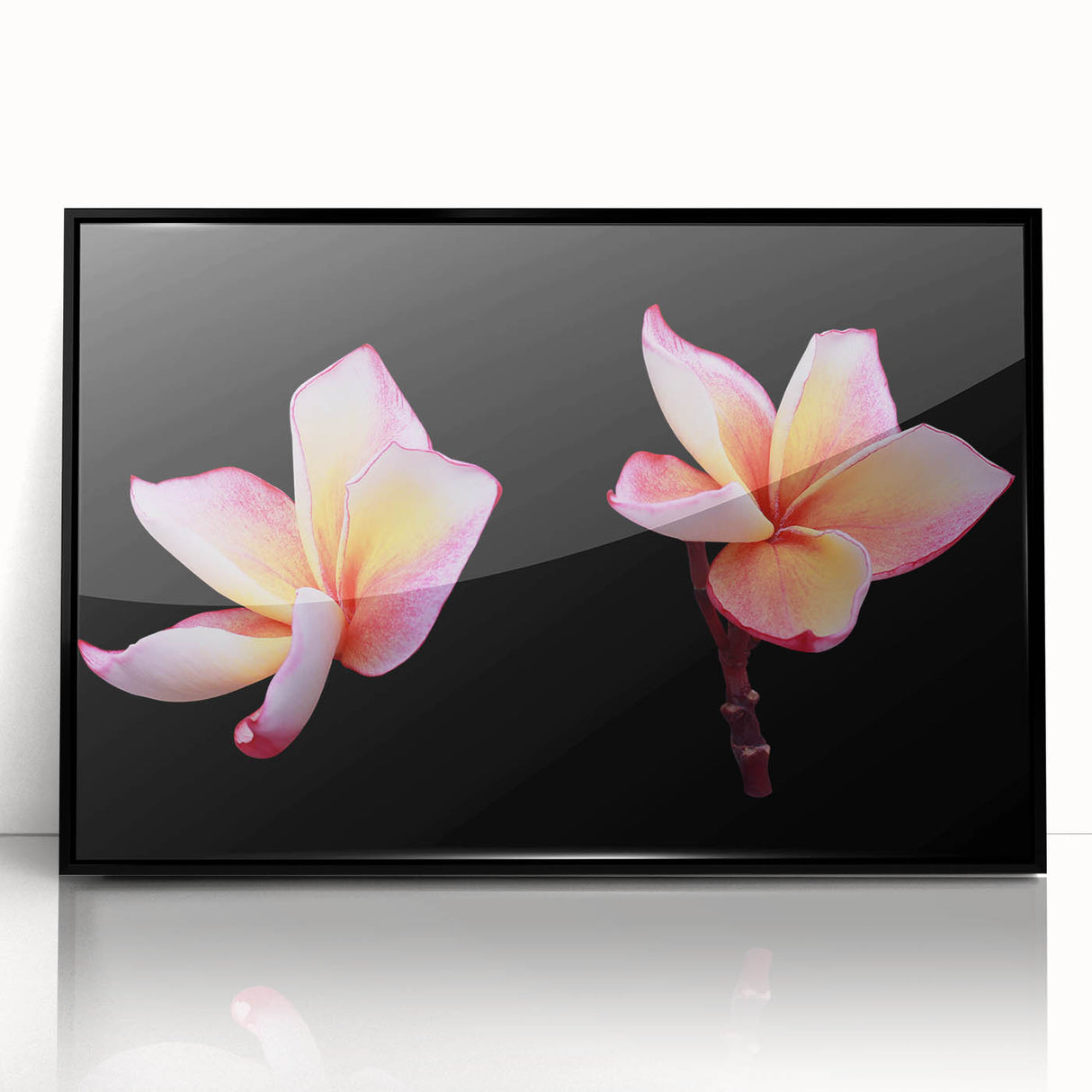 Framed botanical wall art featuring a vibrant dogwood design with black accents, showcasing intricate floral details and a modern aesthetic for home decor.