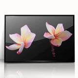 Framed botanical wall art featuring a vibrant dogwood design with black accents, showcasing intricate floral details and a modern aesthetic for home decor.