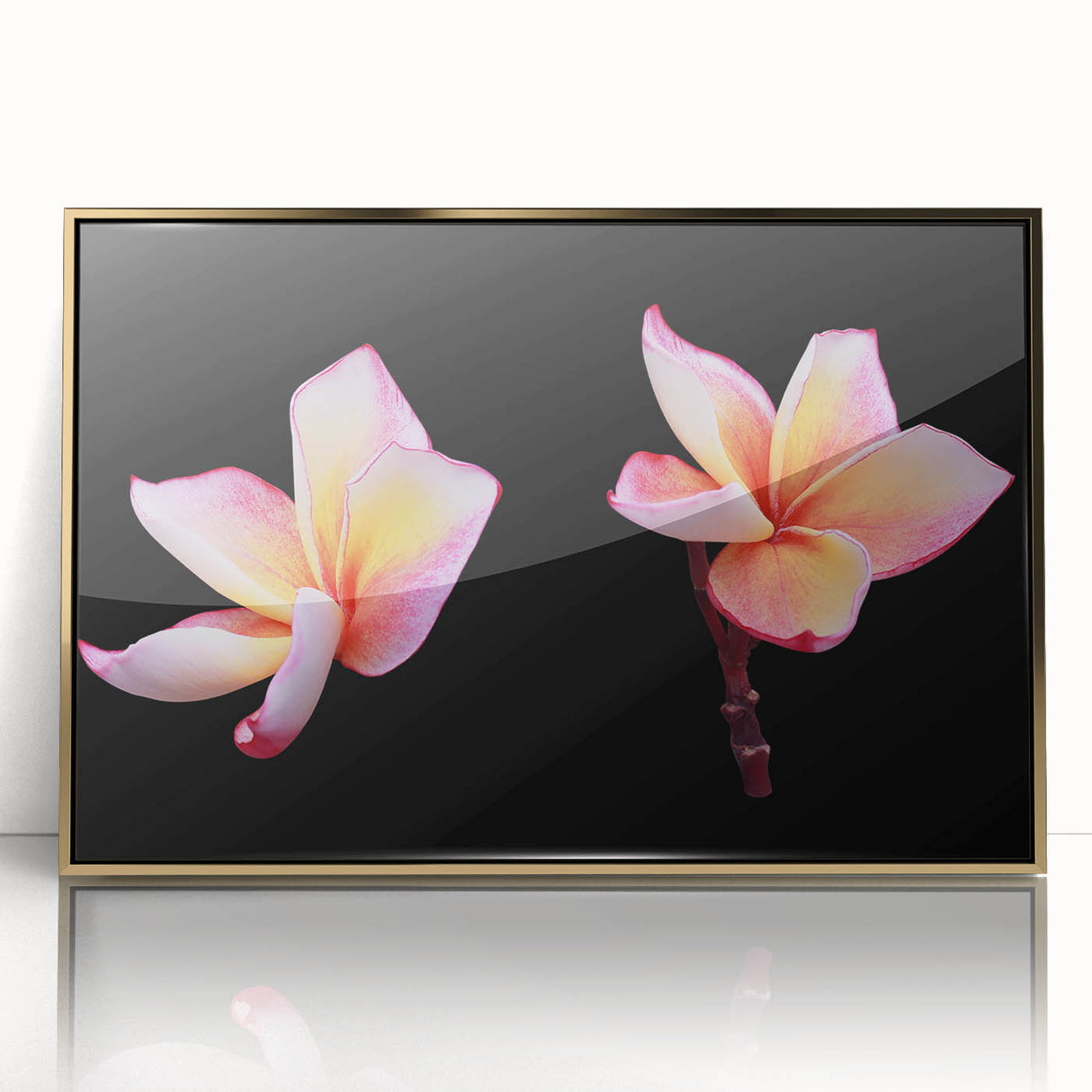 Framed wall art featuring a botanical dogwood design in vibrant colors, set in an elegant gold frame, perfect for home decor enhancement and nature lovers.