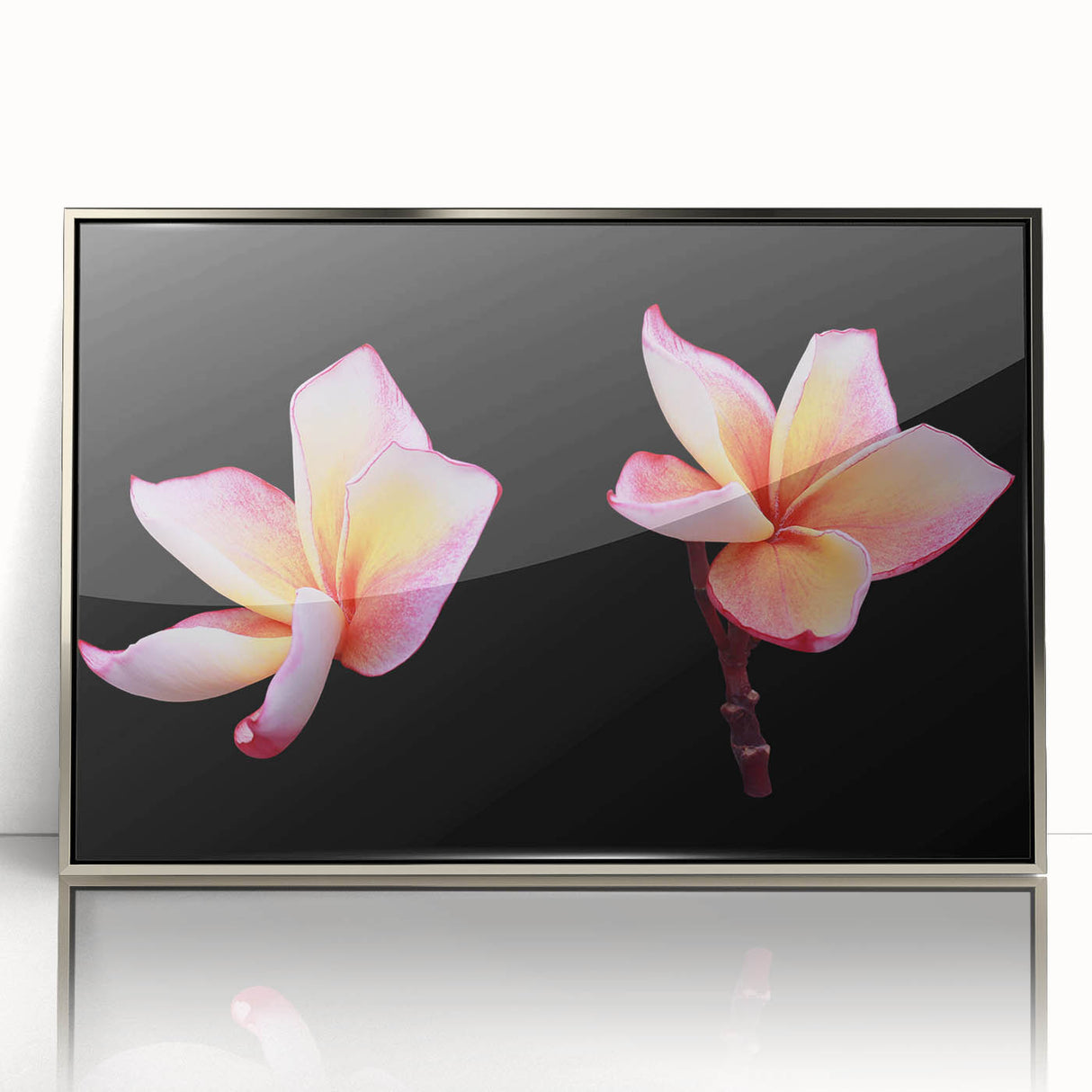 Framed wall art showcasing a botanical dogwood design in silver-acrylic finish, highlighting intricate floral details and a modern aesthetic suitable for home decor.