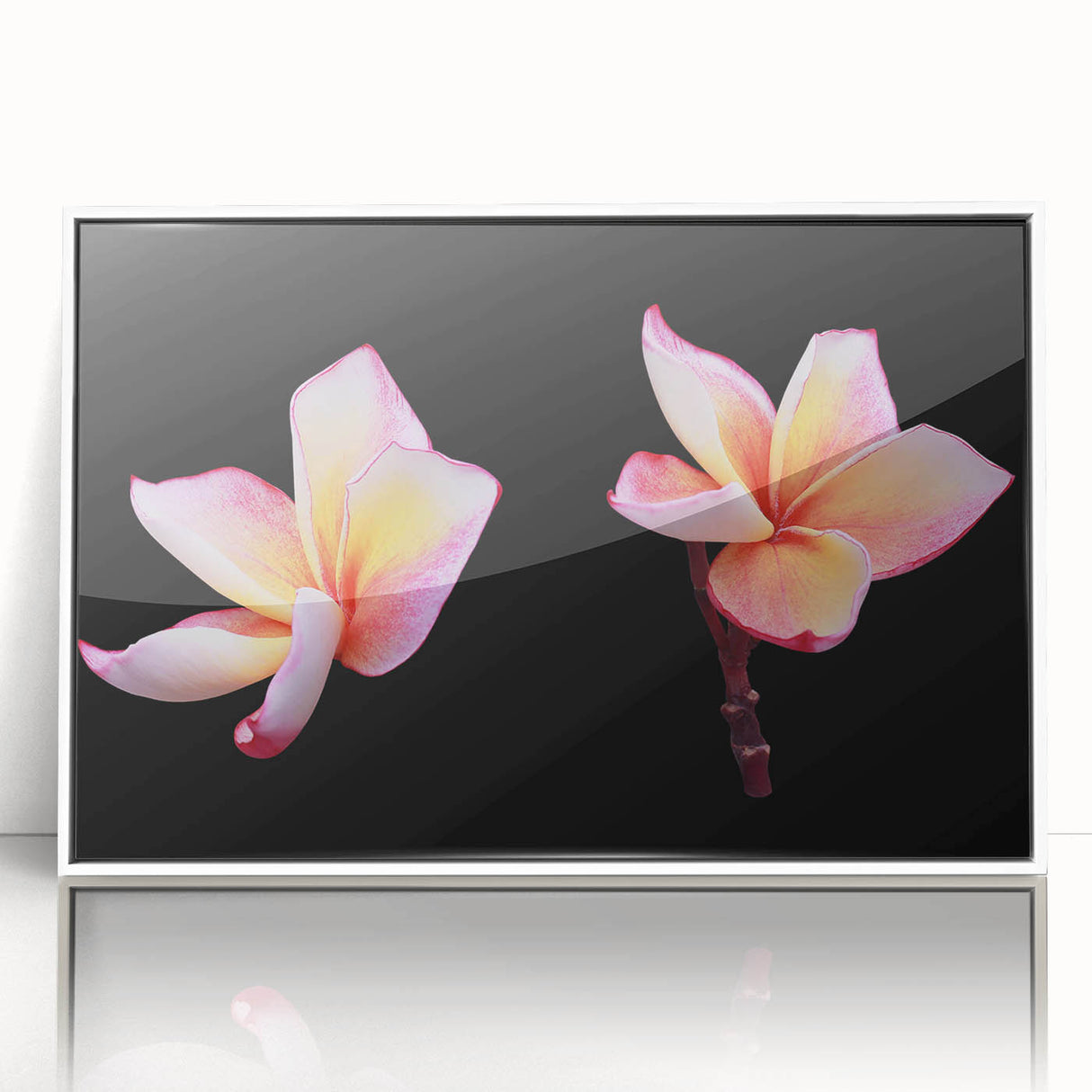 Framed wall art featuring a botanical dogwood design with vibrant flowers on a white background, perfect for home decor and nature enthusiasts.