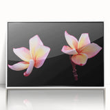 Framed wall art featuring a botanical dogwood design with vibrant flowers on a white background, perfect for home decor and nature enthusiasts.