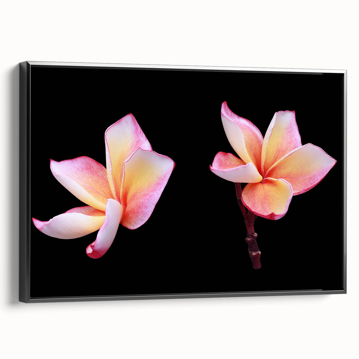Framed canvas wall art featuring a detailed botanical dogwood design in vibrant colors, showcased from a black side view, perfect for home decor.